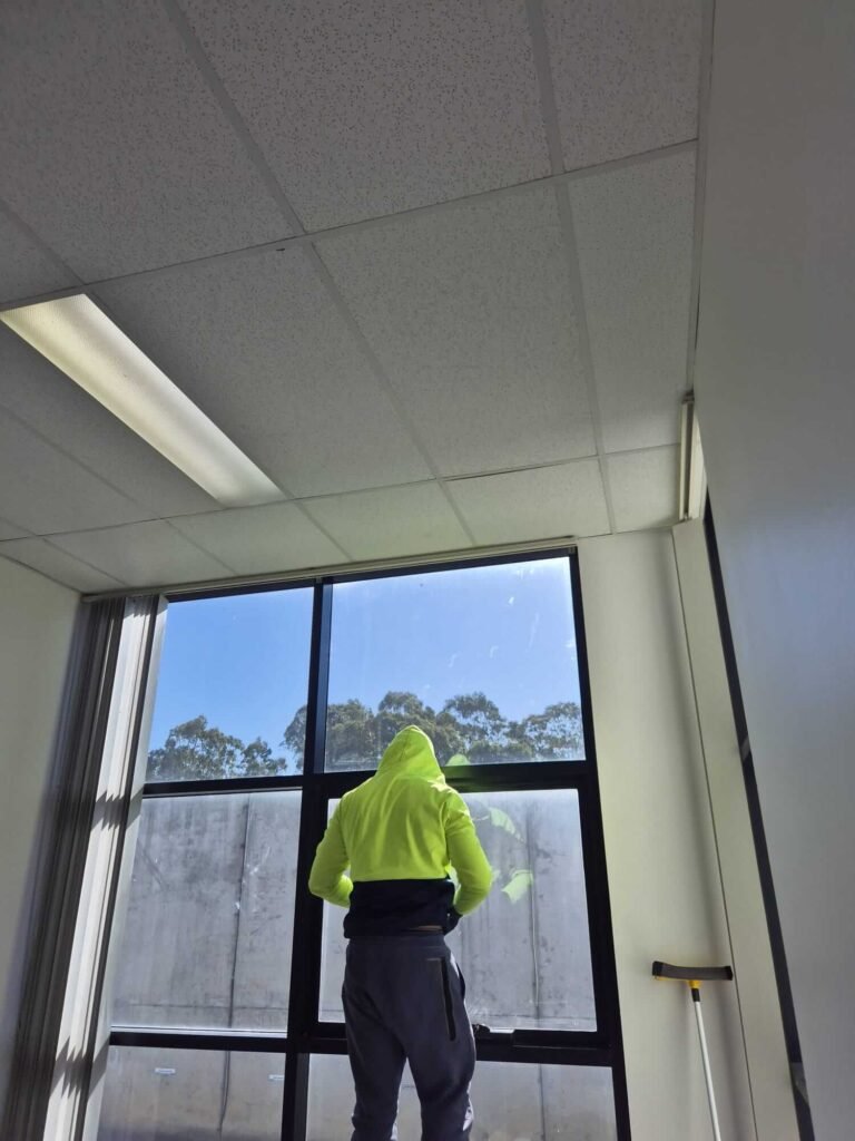Sydney Cleaning & Pest Control Services (2)