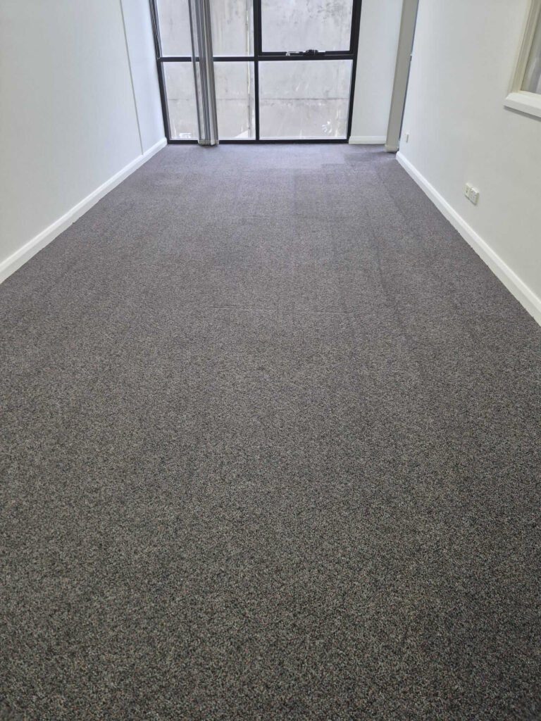 Sydney Cleaning & Pest Control Services (3)
