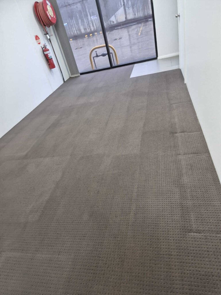 Sydney Cleaning & Pest Control Services (6)