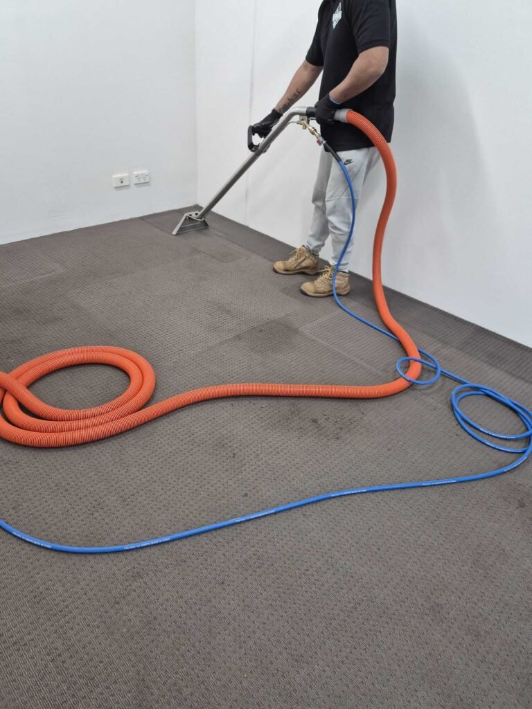 Sydney Cleaning & Pest Control Services (7)