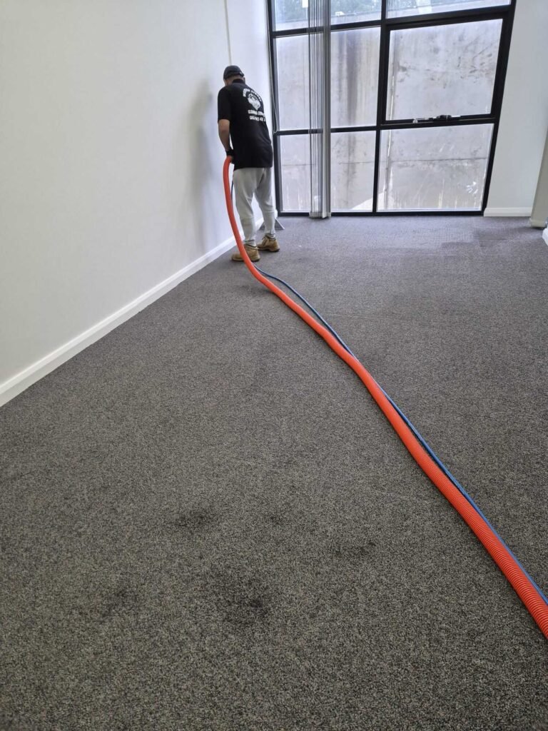 Sydney Cleaning & Pest Control Services (8)