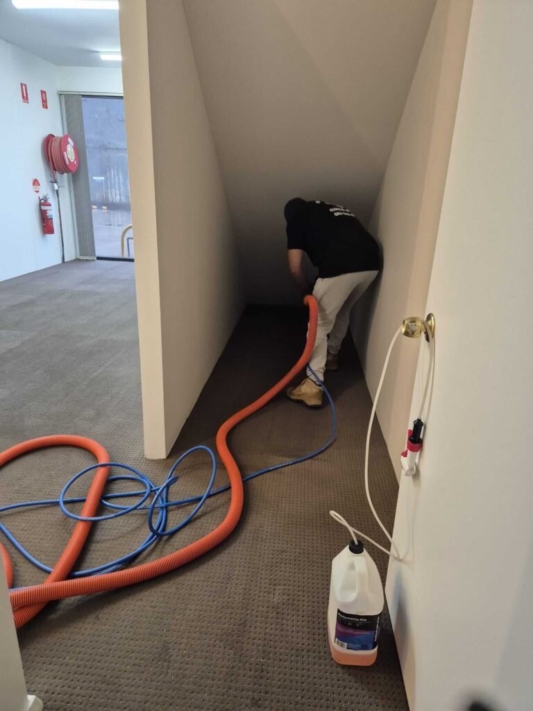 Sydney Cleaning & Pest Control Services (9)